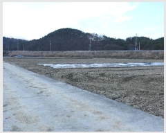  2024Ÿ12482 泲 õ ָ 긮 595      ()