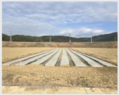  2024Ÿ12482 泲 õ ָ 긮 595      ()