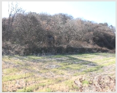  2024Ÿ12505 泲 õ ﰡ ҿ 113      (1)