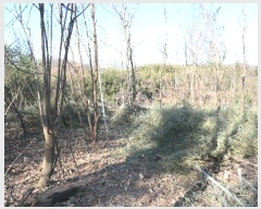  2024Ÿ12505 泲 õ ﰡ ҿ 113      (1)