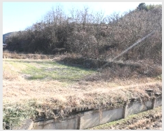  2024Ÿ12505 泲 õ ﰡ ҿ 113      (1)