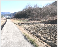  2024Ÿ12505 泲 õ ﰡ ҿ 113      (1)