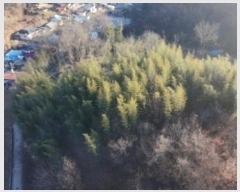  2024Ÿ12505 泲 õ ﰡ ҿ 113      (1)