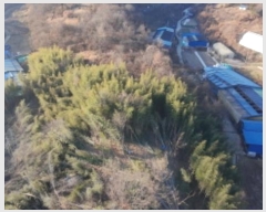  2024Ÿ12505 泲 õ ﰡ ҿ 113      (1)