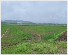  2024Ÿ��975 �泲 �Ծȱ� ���ϸ� �絵�� 1173-1      ����(��)���