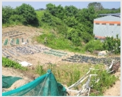  2024Ÿ1206 泲 Ծȱ  ܸ 1738      (1)