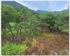  2024Ÿ1374 泲 â ȸ ռ 895-1      ()