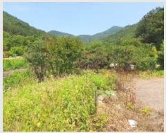  2024Ÿ1374 泲 â ȸ ռ 895-1      ()