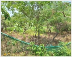  2024Ÿ1374 泲 â ȸ ռ 895-1      ()