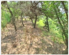  2024Ÿ1374 泲 â ȸ ռ 895-1      ()