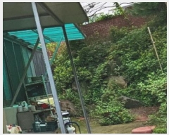  2024Ÿ1848 泲 Ƿɱ Ƿ  195-6      ð