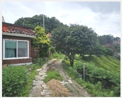  2024Ÿ1848 泲 Ƿɱ Ƿ  195-6      ð