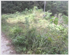  2024Ÿ1947 泲 Ծȱ  系 584      (1)