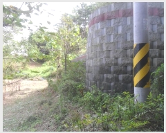  2024Ÿ1947 泲 Ծȱ  系 584      (1)