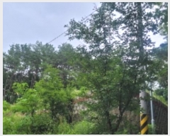  2024Ÿ1947 泲 Ծȱ  系 584      (1)