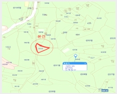  2024Ÿ1947 泲 Ծȱ  系 584      (1)