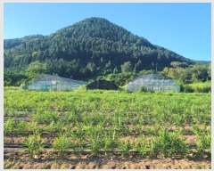  2024Ÿ��2346 �泲 â���� ���������� ������ ��ȸ� 573     ����(��)���