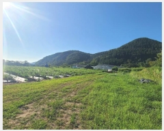  2024Ÿ��2346 �泲 â���� ���������� ������ ��ȸ� 573     ����(��)���