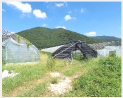  2024Ÿ��2346 �泲 â���� ���������� ������ ��ȸ� 573     ����(��)���