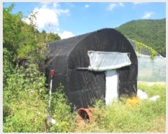  2024Ÿ��2346 �泲 â���� ���������� ������ ��ȸ� 573     ����(��)���