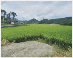  2024Ÿ��2391 �泲 â���� ���������� ���ϸ� ���긮 215-1     ����(��)���