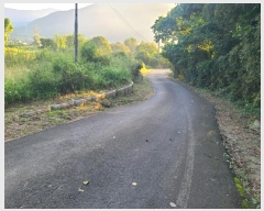  2024Ÿ��2445 �泲 â���� ���������� ���ϸ� ���̸� 455     ����(��)���