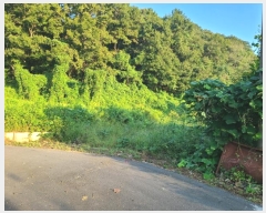  2024Ÿ��2445 �泲 â���� ���������� ���ϸ� ���̸� 455     ����(��)���