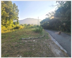  2024Ÿ��2445 �泲 â���� ���������� ���ϸ� ���̸� 455     ����(��)���