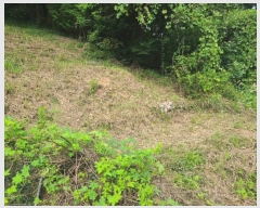  2024Ÿ��2445 �泲 â���� ���������� ���ϸ� ���̸� 455     ����(��)���