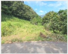  2024Ÿ��2445 �泲 â���� ���������� ���ϸ� ���̸� 455     ����(��)���