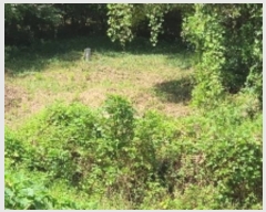  2024Ÿ��2445 �泲 â���� ���������� ���ϸ� ���̸� 455     ����(��)���