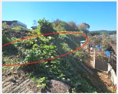  2024Ÿ2735 泲 Ծȱ  ۸ 211      ()