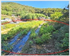  2024Ÿ2735 泲 Ծȱ  ۸ 211      ()