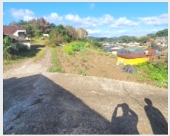  2024Ÿ2735 泲 Ծȱ  ۸ 211      ()