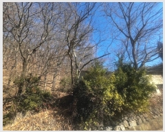  2024Ÿ��3486 �泲 �Ծȱ� ĥ���� ���⸮ 752-2      ���ð��