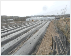  2024Ÿ3530 泲 Ծȱ   794      (1)