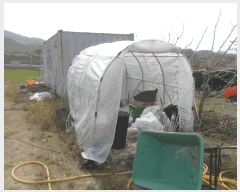  2024Ÿ3530 泲 Ծȱ   794      (1)