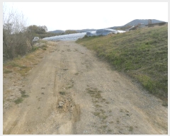  2024Ÿ3530 泲 Ծȱ   794      (1)