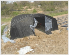  2024Ÿ3530 泲 Ծȱ   794      (1)