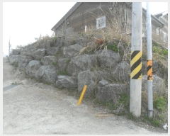  2024Ÿ3530 泲 Ծȱ   794      (1)