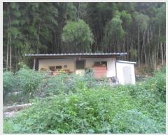  2024Ÿ101618 泲 Ծȱ  긮 359-5      ()