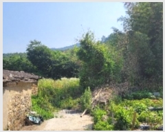  2024Ÿ103072 泲 Ծȱ ĥ  202      ()