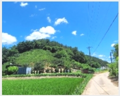  2024Ÿ104396 泲 Ծȱ  θ 592-1      (Ӿ)