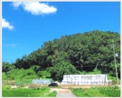  2024Ÿ104396 泲 Ծȱ  θ 592-1      (Ӿ)