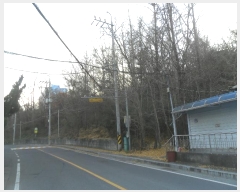  2024Ÿ��104549  �����