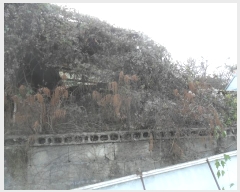  2024Ÿ��104549  �����