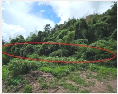  2024Ÿ��104792 �泲 �Ƿɱ� �Ƿ��� ������ 1202-1      ����(��1)���