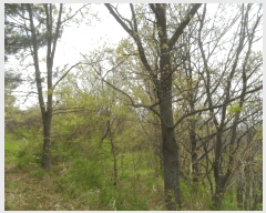  2024Ÿ105627 泲 Ծȱ  ̸ 1118      (1)