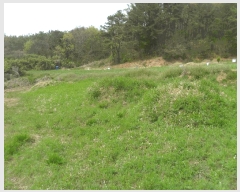  2024Ÿ105627 泲 Ծȱ  ̸ 1118      (1)