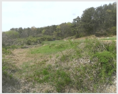  2024Ÿ105627 泲 Ծȱ  ̸ 1118      (1)